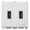 Vimar - 14295.CC - C+C-USB supply unit 15W 3A 5V 2M white